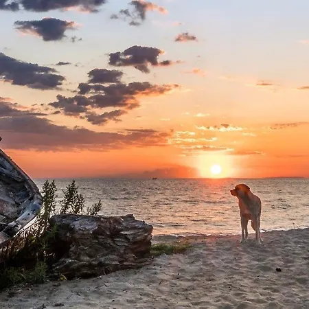 アパートホテル Nostos Néa Meságkala