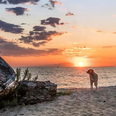 Nostos 3* Néa Meságkala